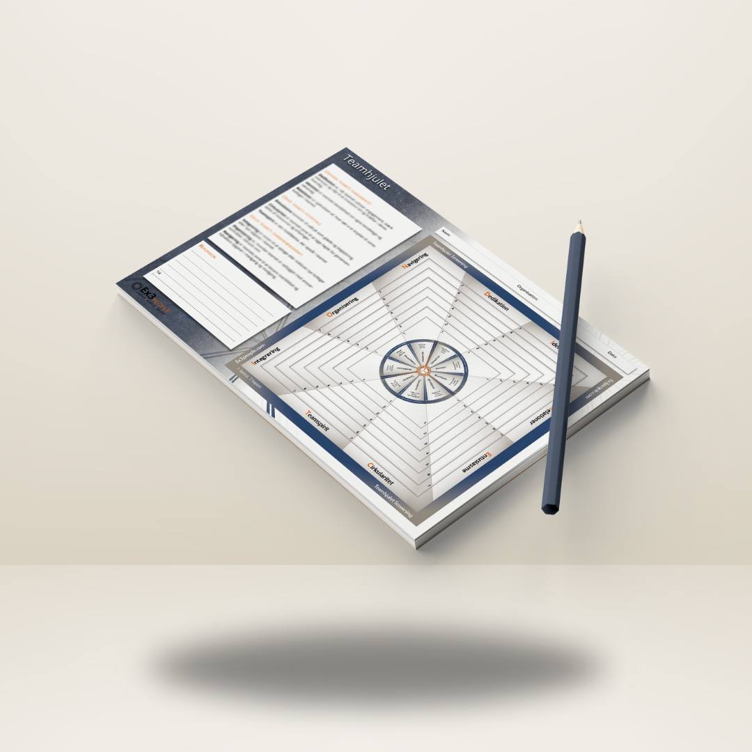 Teamhjulet Screeningsark
