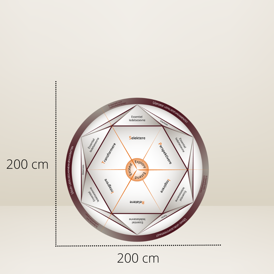 Ledelsesdiamanten gulvmodel