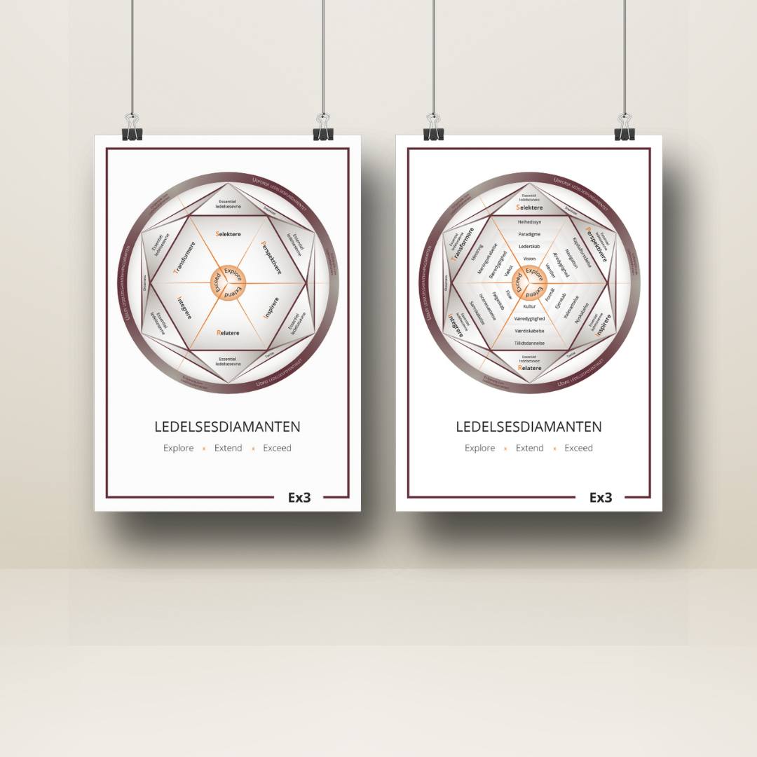 Ledelsesdiamanten plakat
