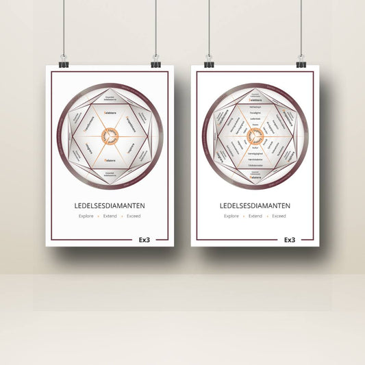 The management diamond poster