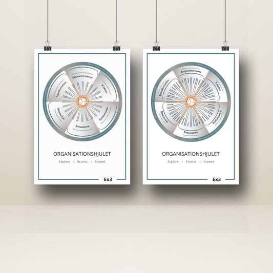 The organizational wheel poster