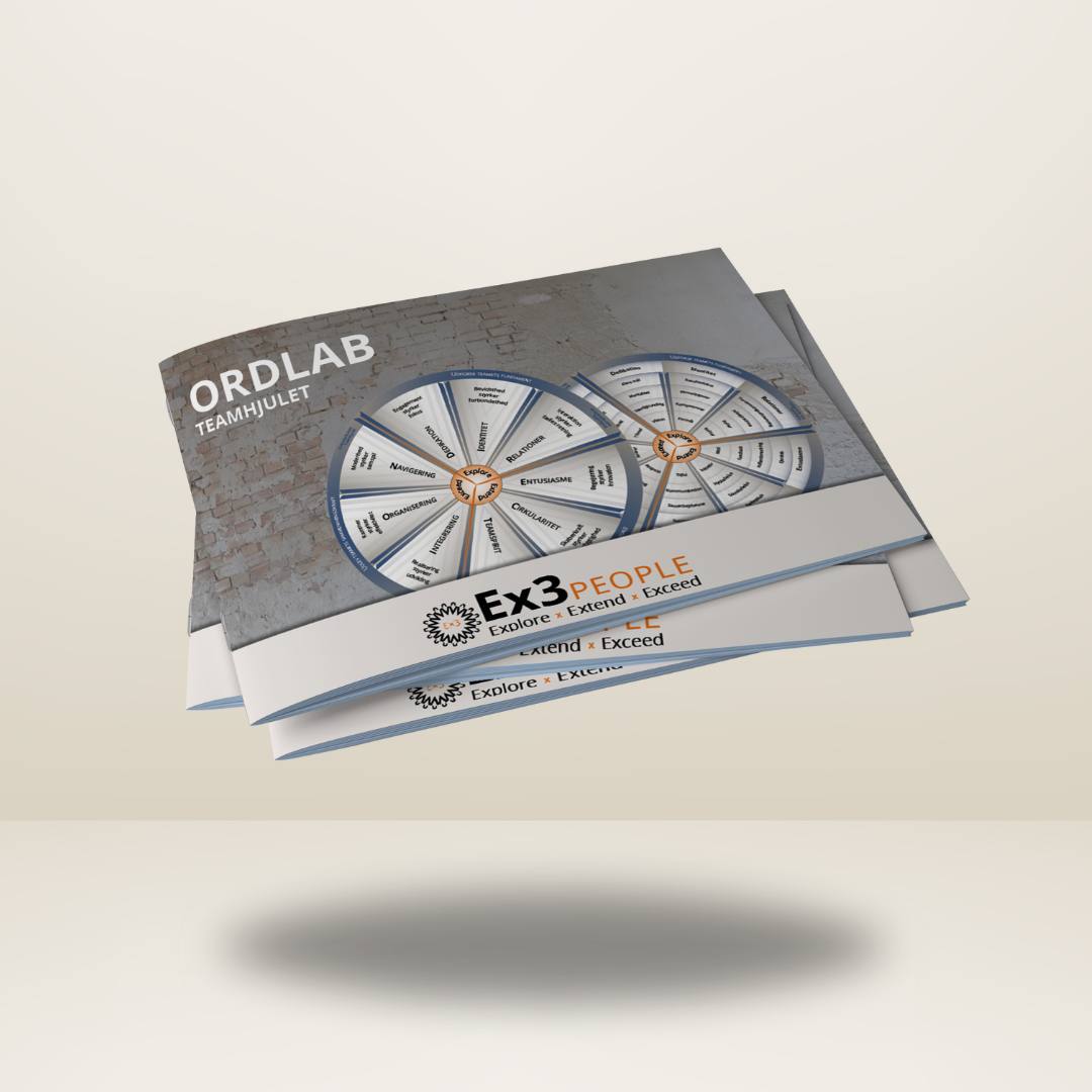 Teamhjulet Ordlab