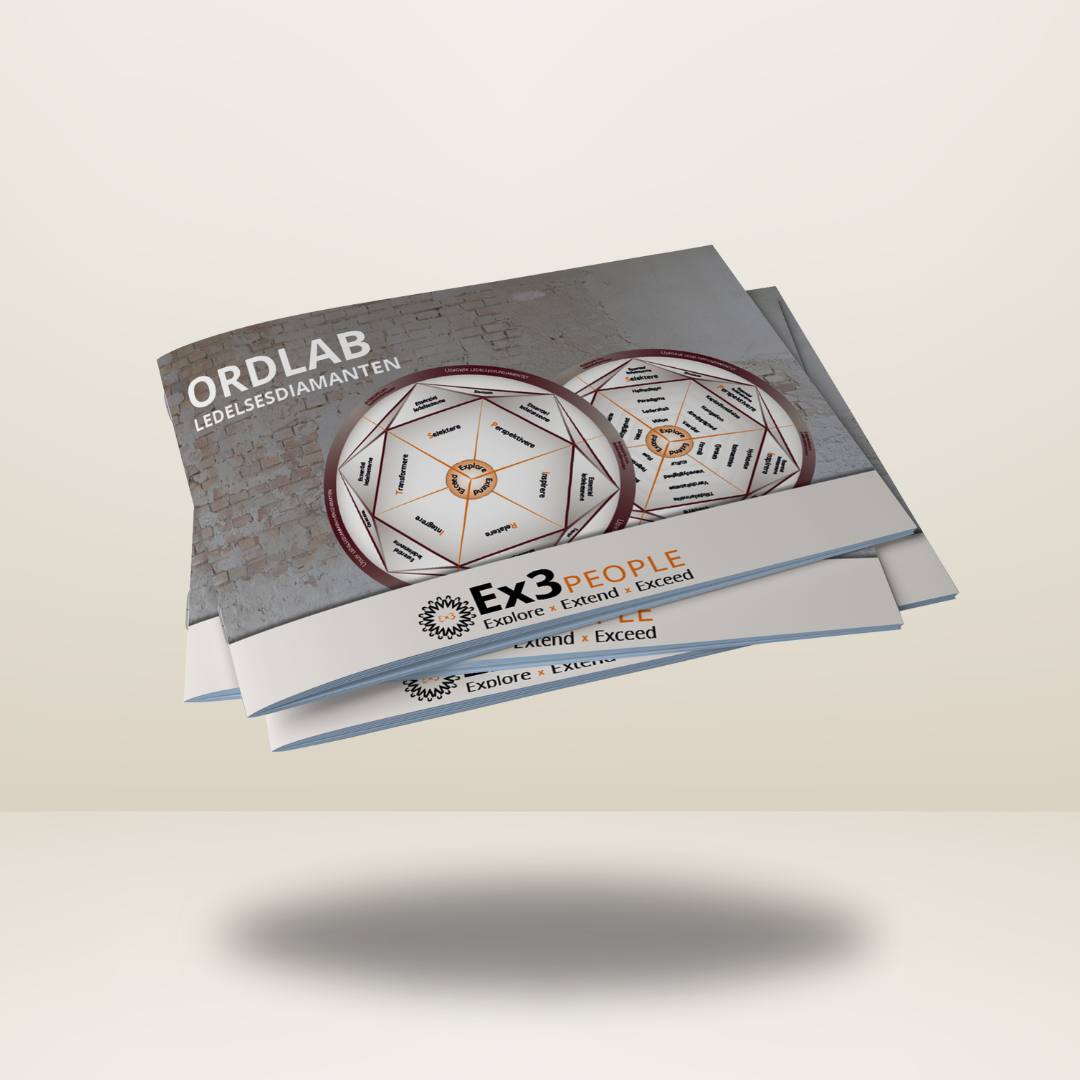 Ledelsesdiamanten Ordlab