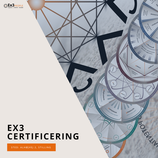 Certificering - Ex3 People Culture Tool Practitioner 12-03 & 19-03-24